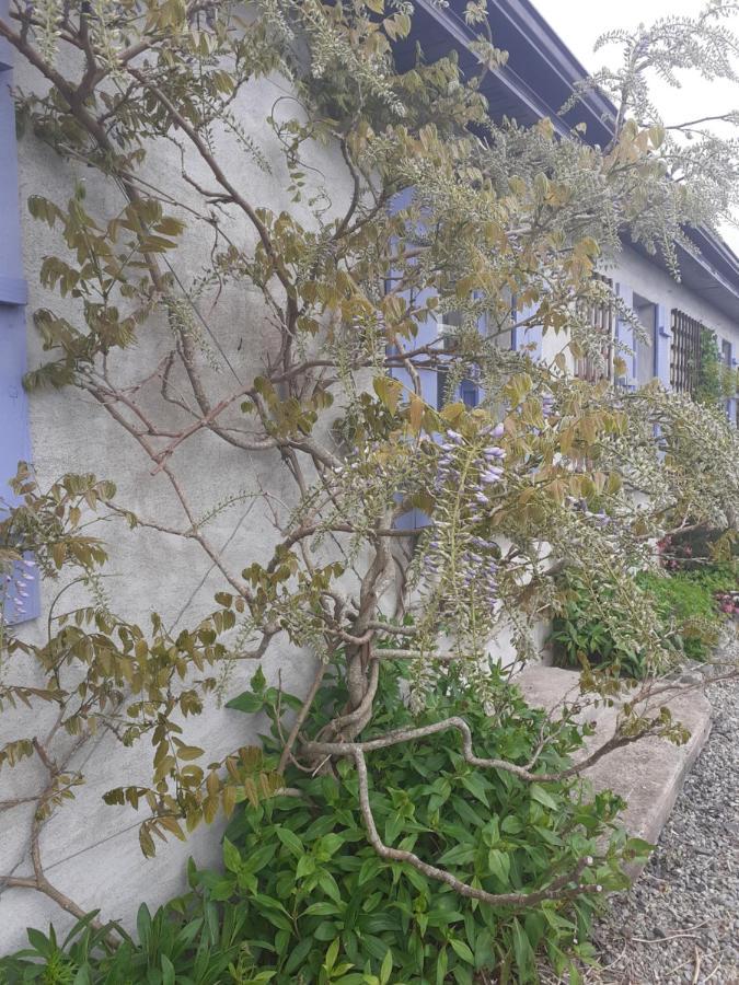 Escape To The Country Villa Westport Exterior foto